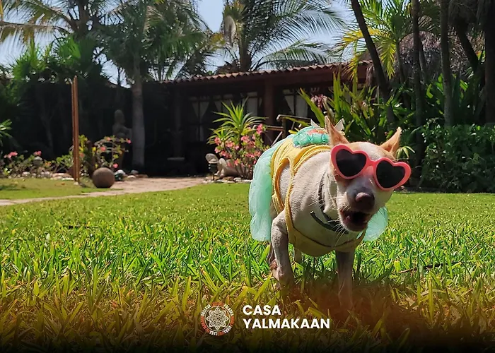 Casa Yalma Kaan Acapulco Hotel - Solo Adultos